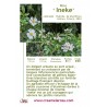 Ineke