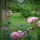 Le Rosier des Hauts Clochers