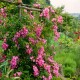 Fil des Saisons       
